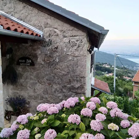 In 15115 * Dobrec